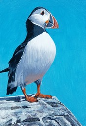 Puffin #1 SOLD