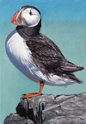 Puffin #2 SOLD
