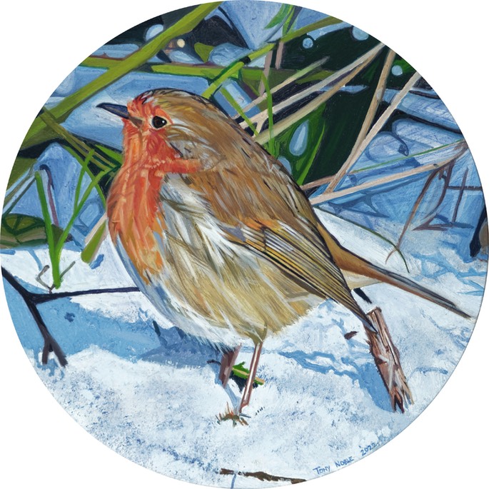 Round robin in the snow