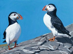 Two puffins on the rocks