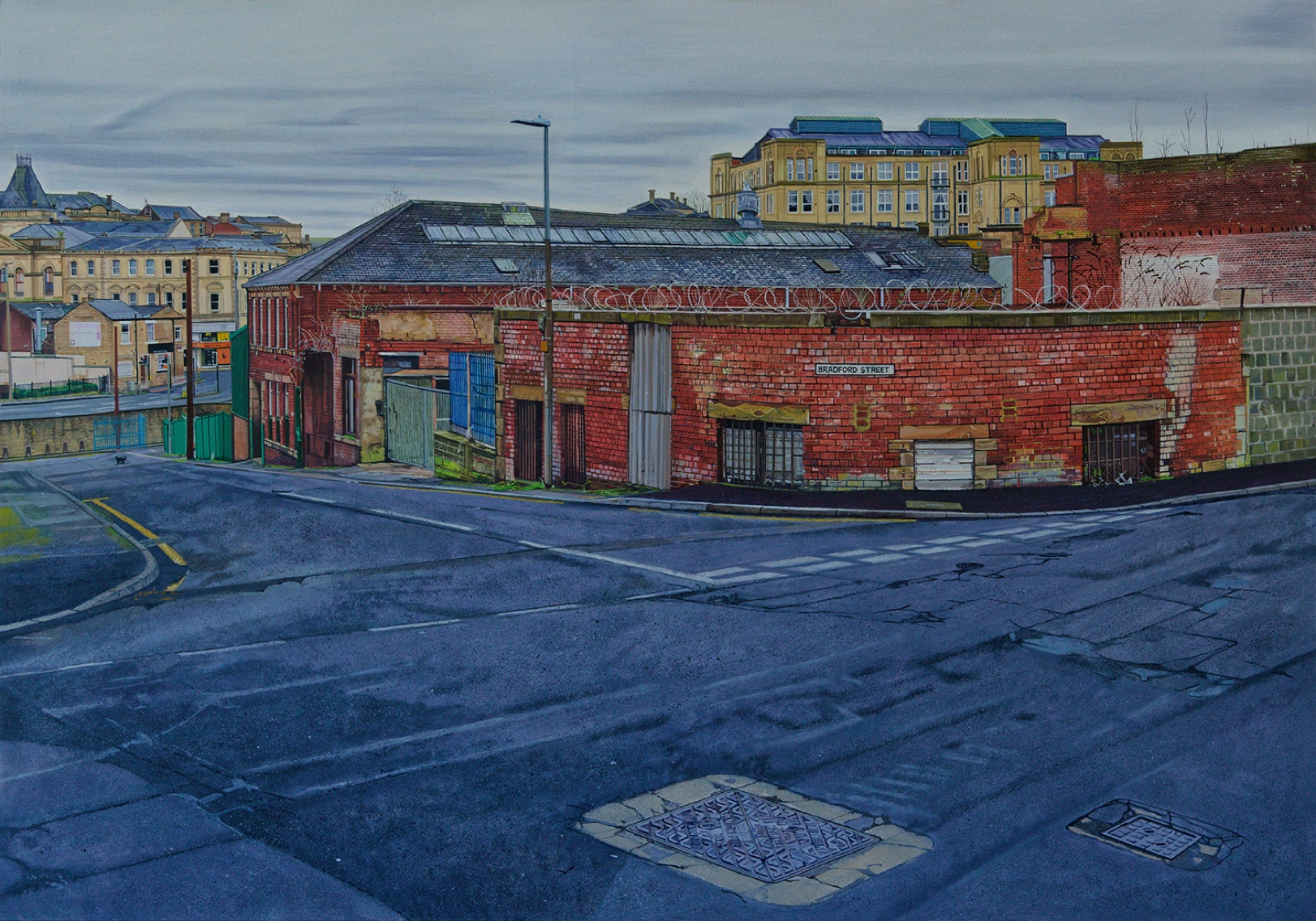 A blck cat in Bradford street.