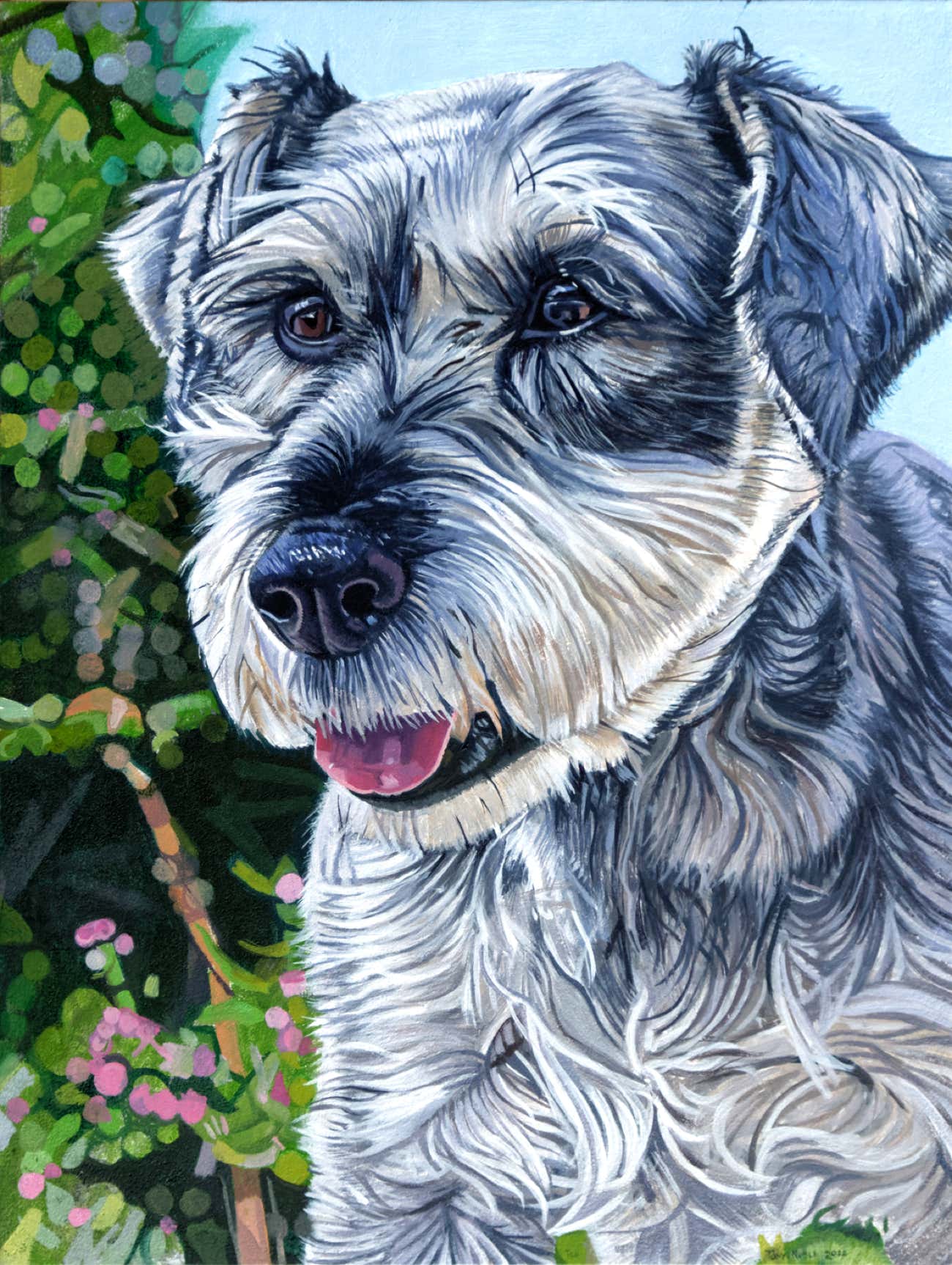 Ted the dog